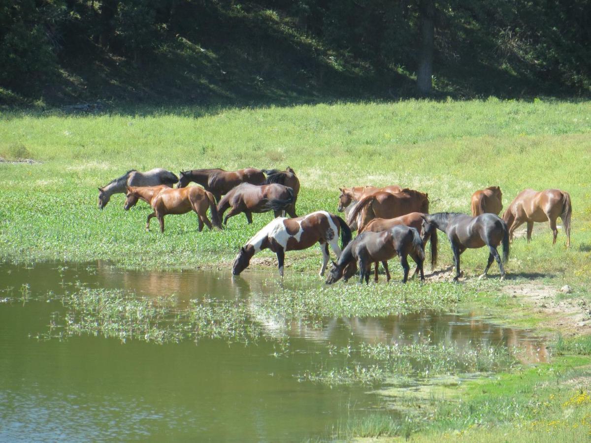 Lake Guest Ranch Villa Devils Tower Luaran gambar